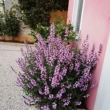 Apartmán Poljanec
