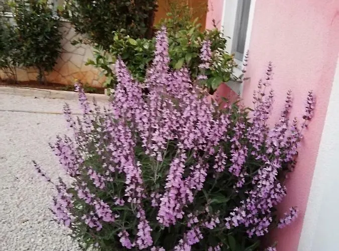 Apartamento Poljanec