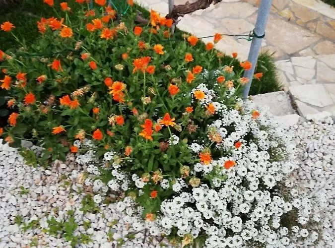 Poljanec